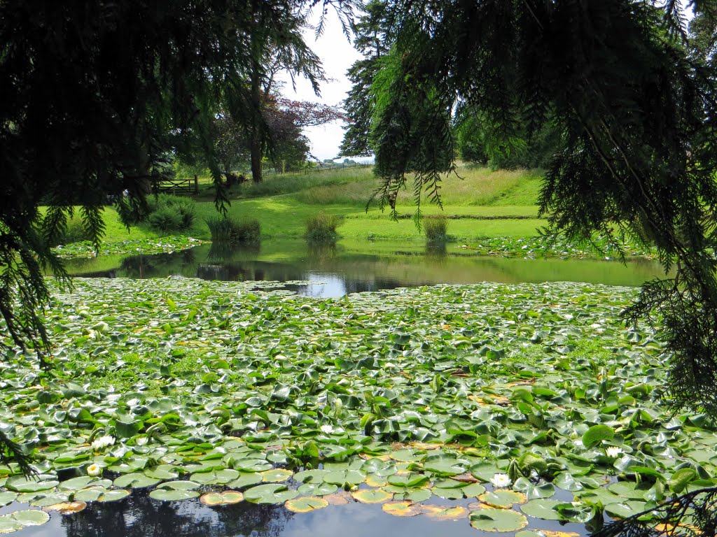 The Pond, Arlington Court by Keith