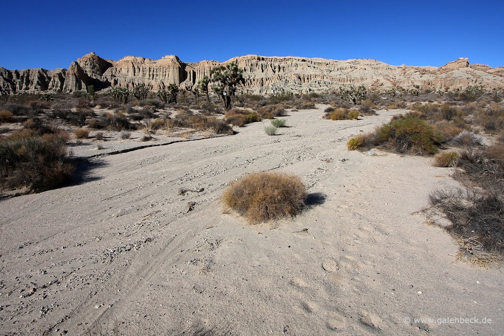 Red Rock Canyon State Park by Thomas Galenbeck