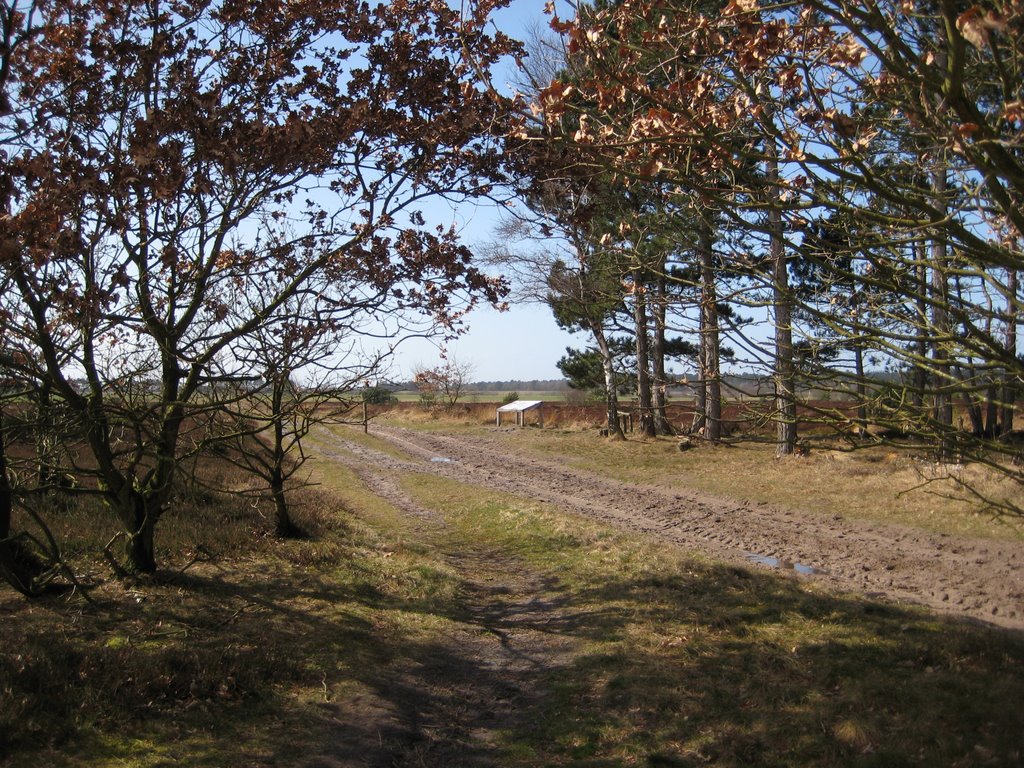 Holte-Spangen - Küstenheidelandschaft "Spangener Heide" by Robert-68