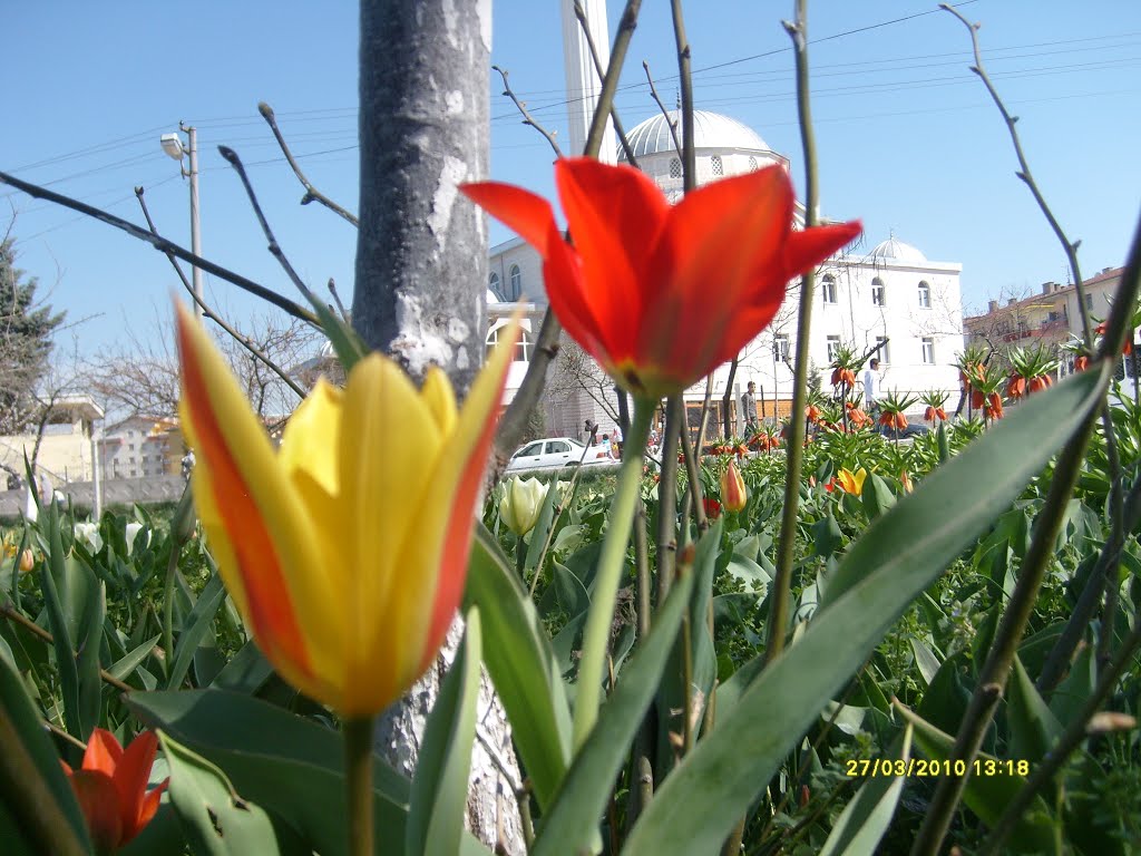 Ankara, Turkey by ibrahimCe