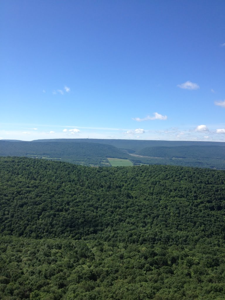 Above Lock haven by BrianWrightson