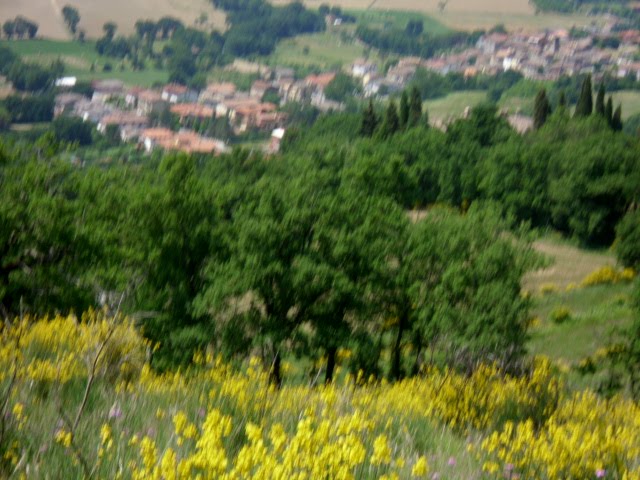 JC® - Caminho de Assisi - San Giustino by José Carminatti