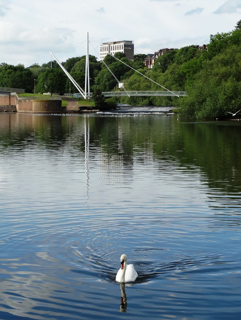 By The River Exe looking to Exeter College by Neil-inSheffieldUK