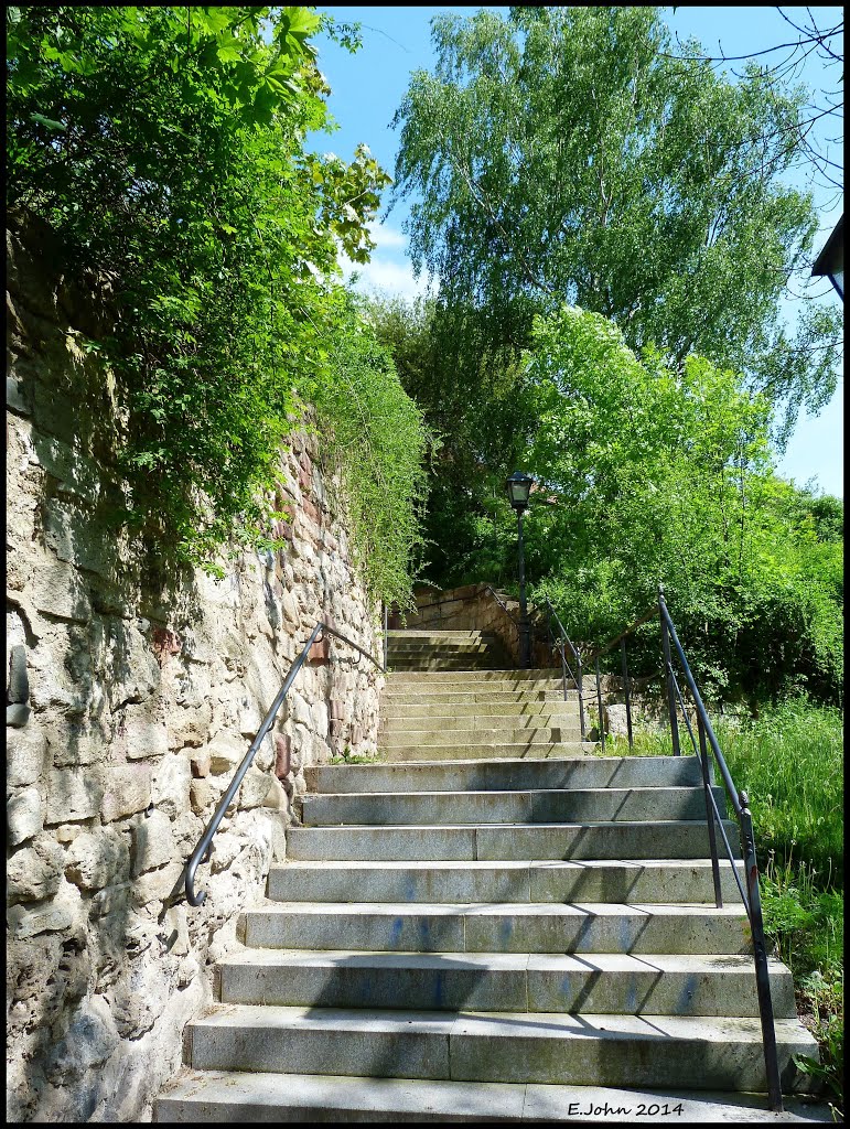 Nordhausen am Harz, Kutteltreppe by Eckbert John