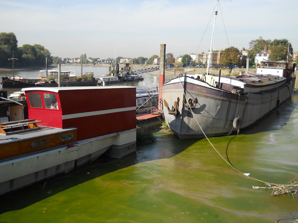 Hammersmith - on the Thames by Jerry Meijer