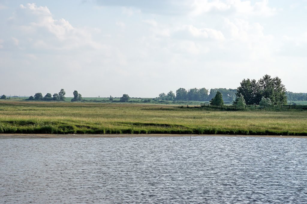 A pond near Volkovo by Yuri Rapoport