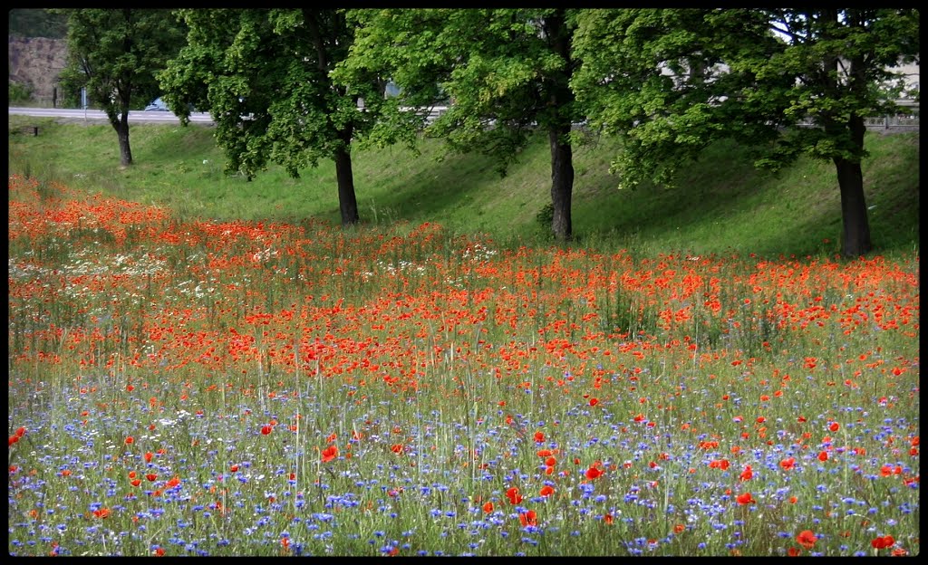 Gmina Żukowo, Poland by ska-doc