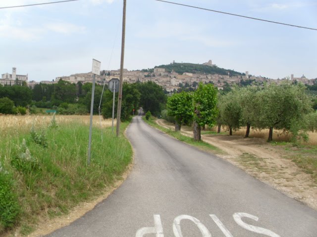 JC® - Caminho de Assisi - Assisi by José Carminatti