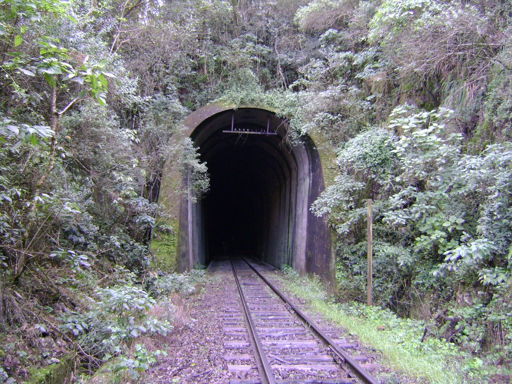 Túnel na Ferrovia do Trigo by Archimedes