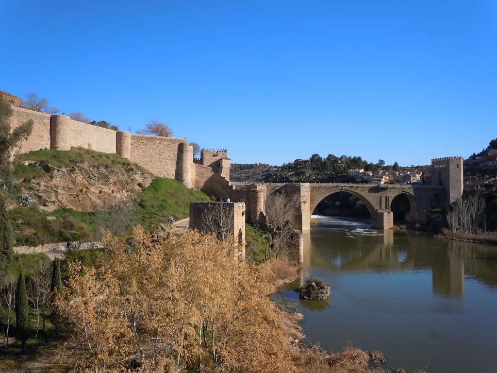 Puente de San Martín by GMonroy