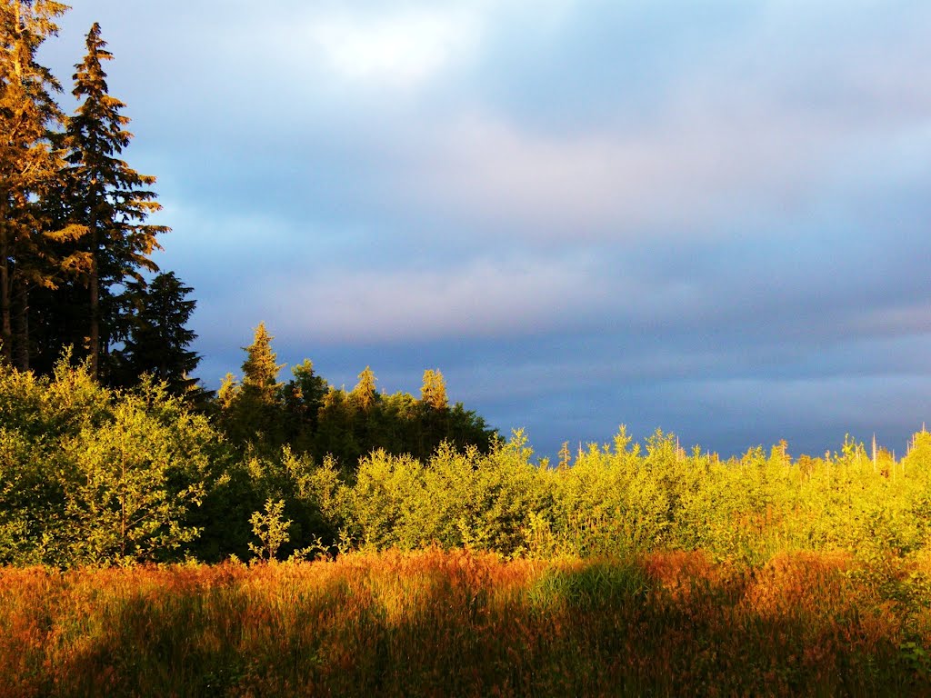 Masset, BC, Canada by someGuyinmasset