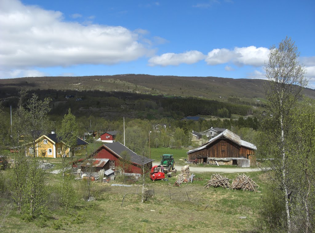 A beautiful farm sunny 15th of june 2015 by Mona Lygre