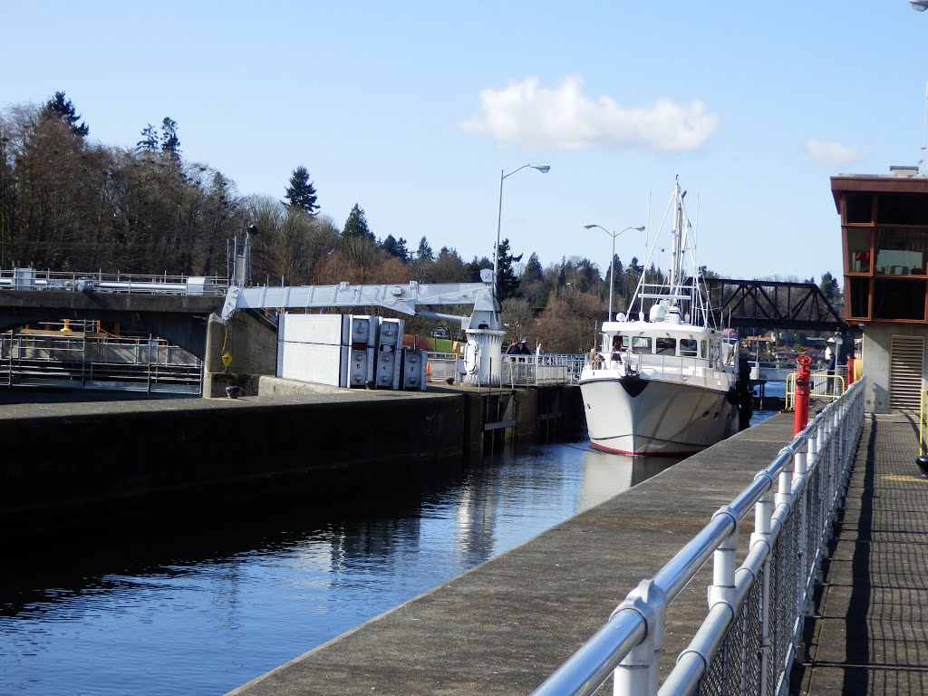 Old Ballard, Seattle, WA, USA by eilean burgess