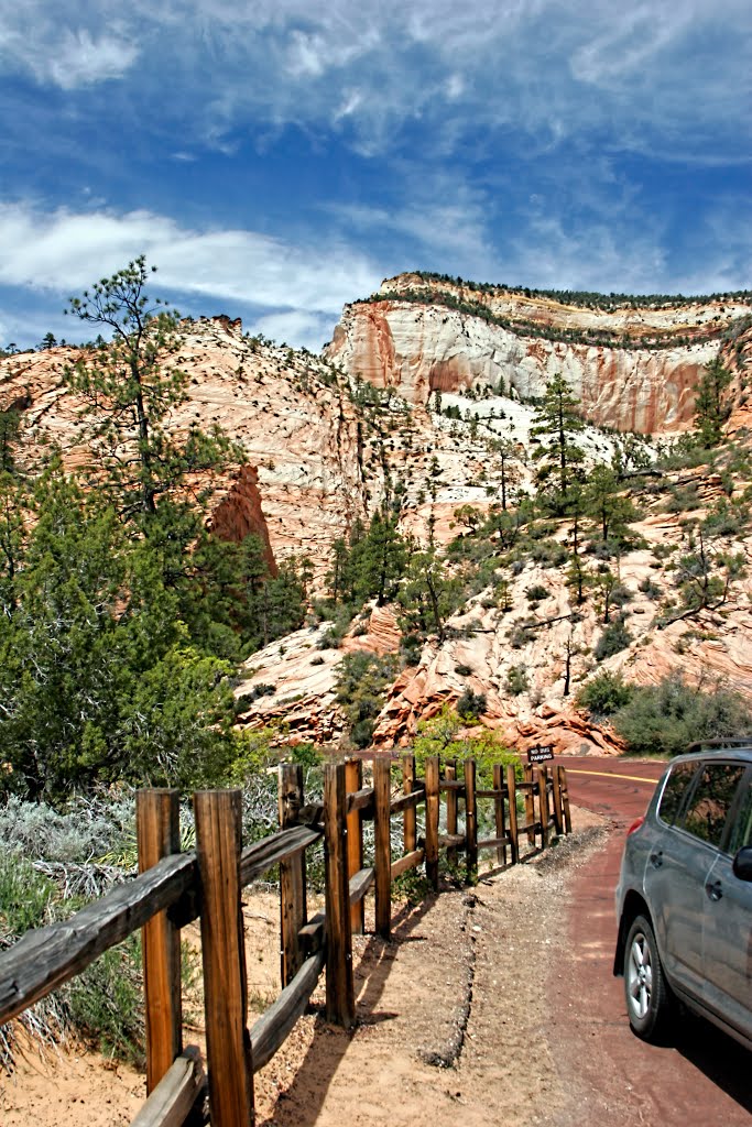 Road into Zion National Park by mikepaling