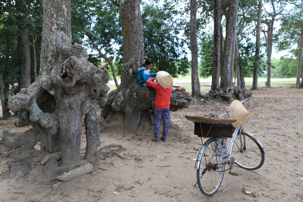 Ao Bà Om - Trà Vinh 6/2015 by Hong Son Nguyen