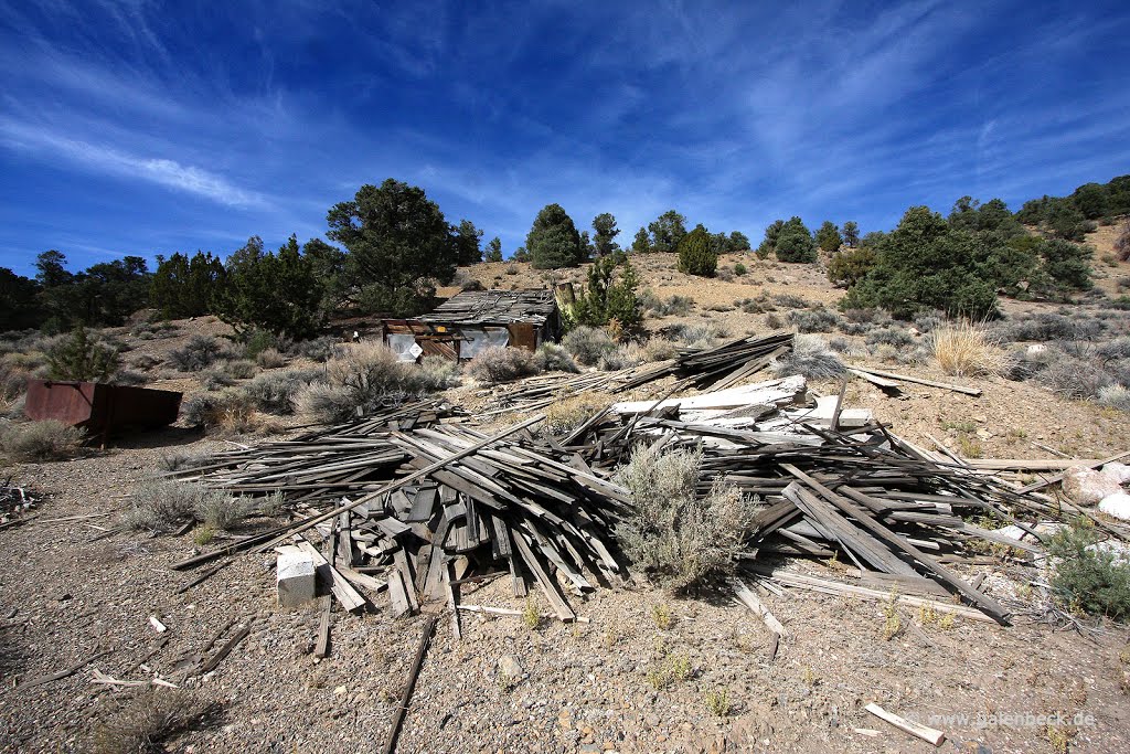 Berlin Nevada by Thomas Galenbeck