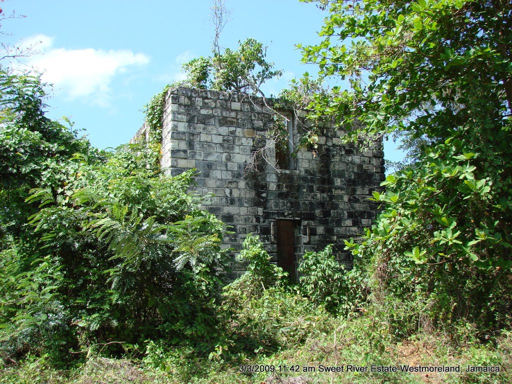 The Historic Sweet River Estate Westmoreland Jamaica by James Asbury