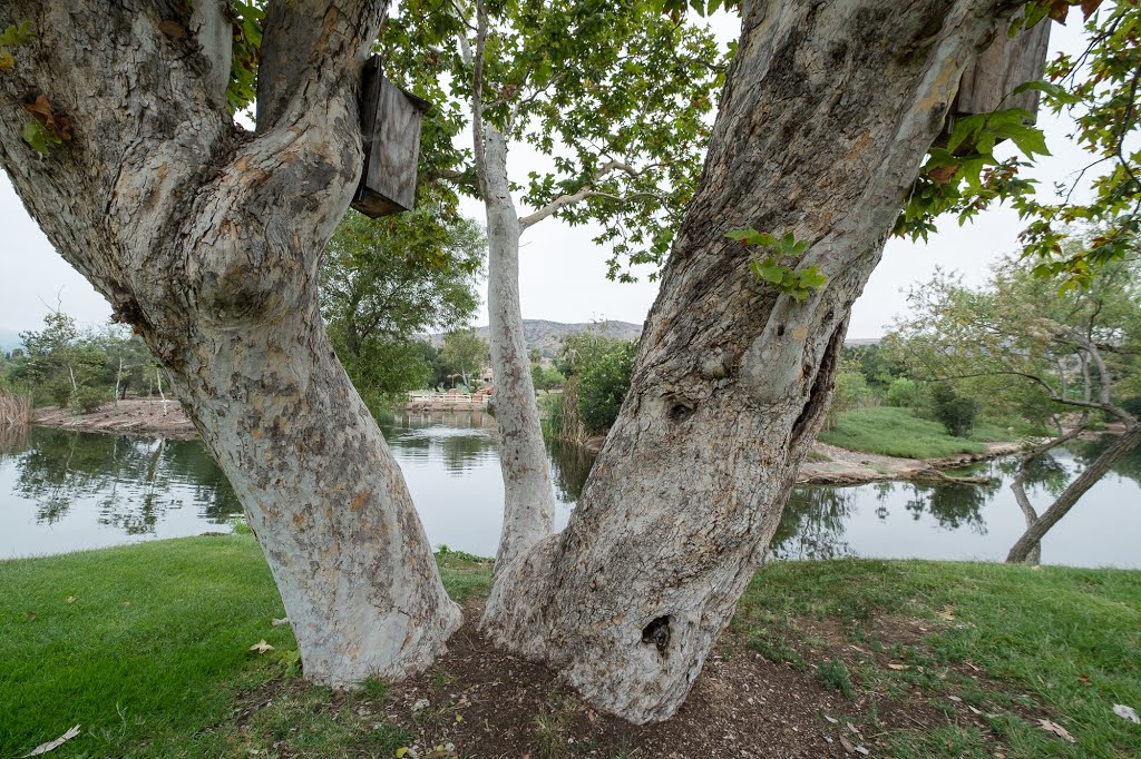 Santee Lakes, San Diego by Eric Bier