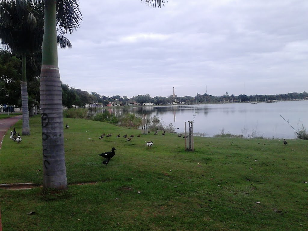 Jardim Bela Vista, Três Lagoas - MS, Brazil by Alexandre Barros