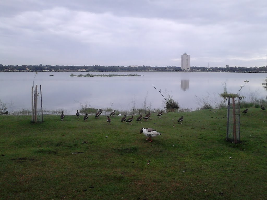 Jardim Bela Vista, Três Lagoas - MS, Brazil by Alexandre Barros