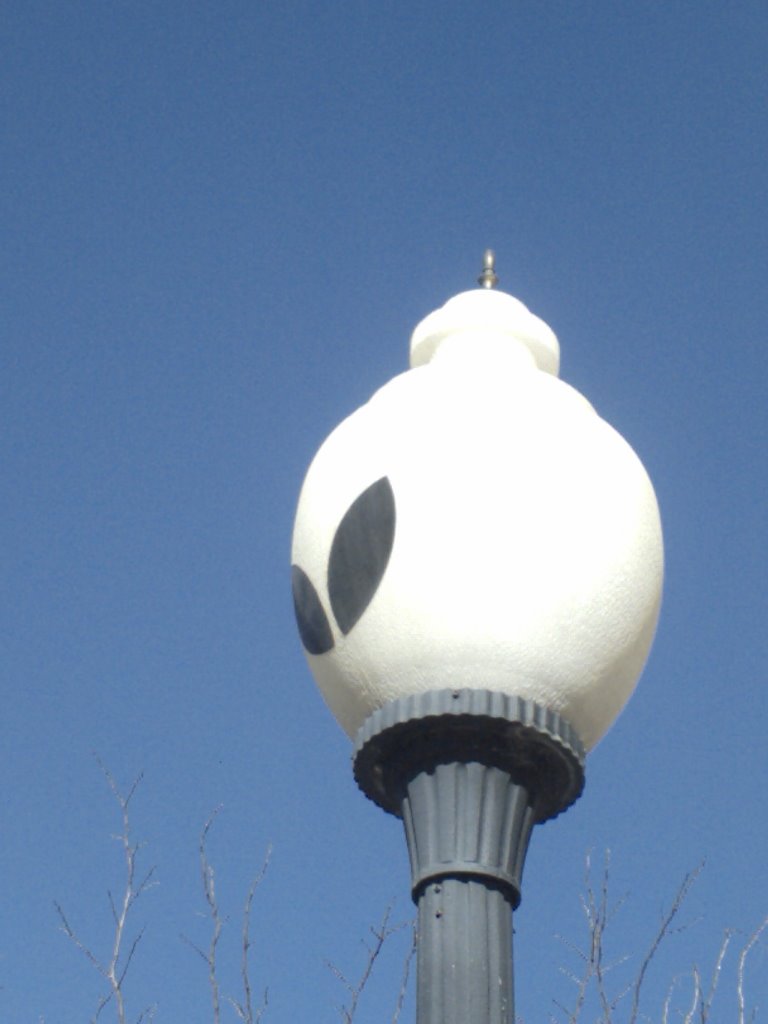 Roswell Street Lamp by everyplatewebreak