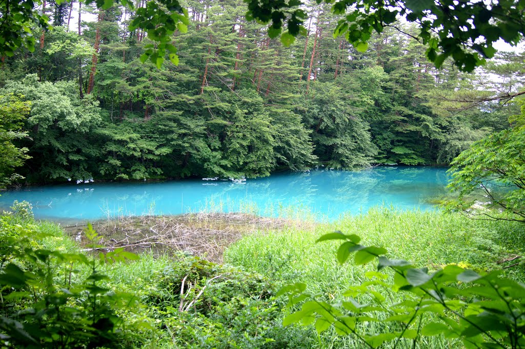 Goshikinuma (Five Colored Swamps) -Aonuma, Urabandai @ Fukushima Japan by j-ryu