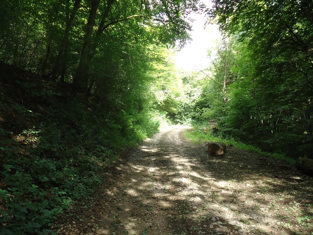 Chemin sur la Chaille au NO de Médière by Claudius B.