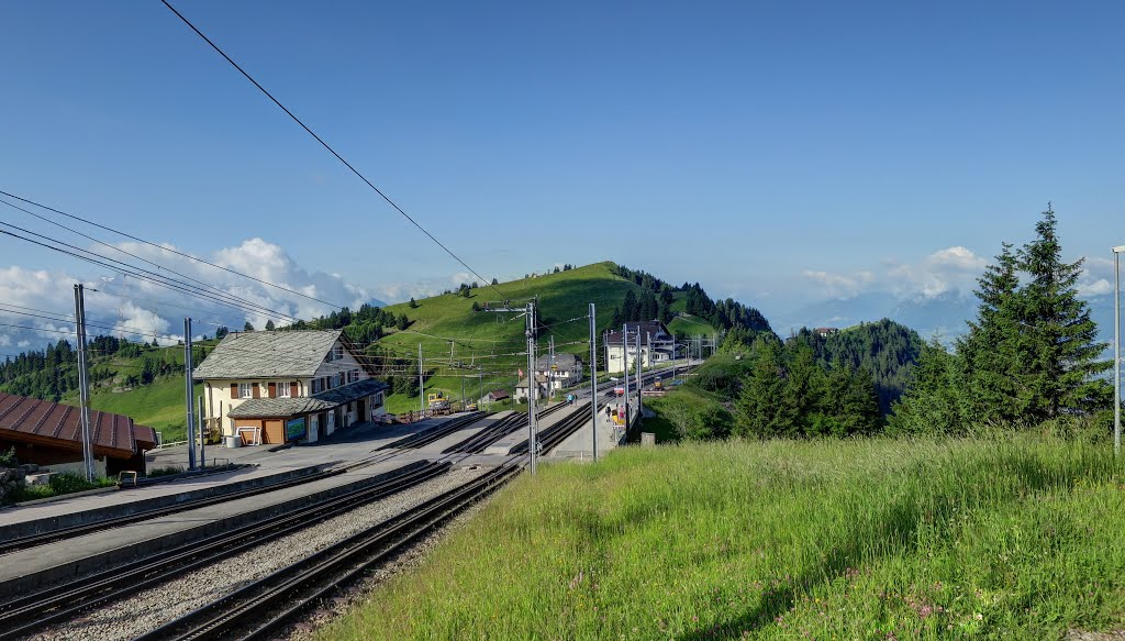 Station Rigi Staffel, Juni 2015 by William Von Mansory