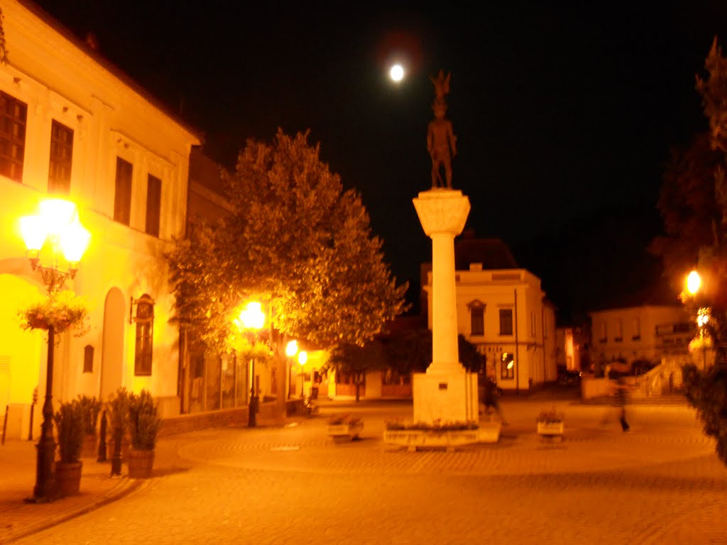 Tokaj, the land of wine, by night - Statue of King Stephen I of Hungary by Jerry Meijer