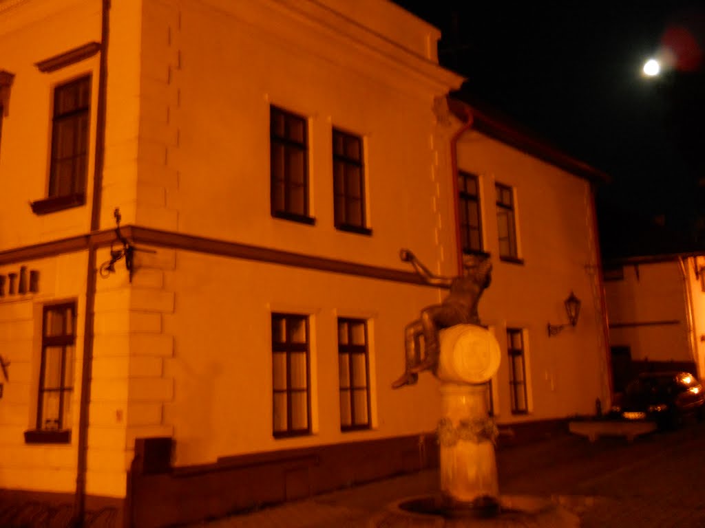 Tokaj, the land of wine, by night - the merry winedrinker :) by Jerry Meijer