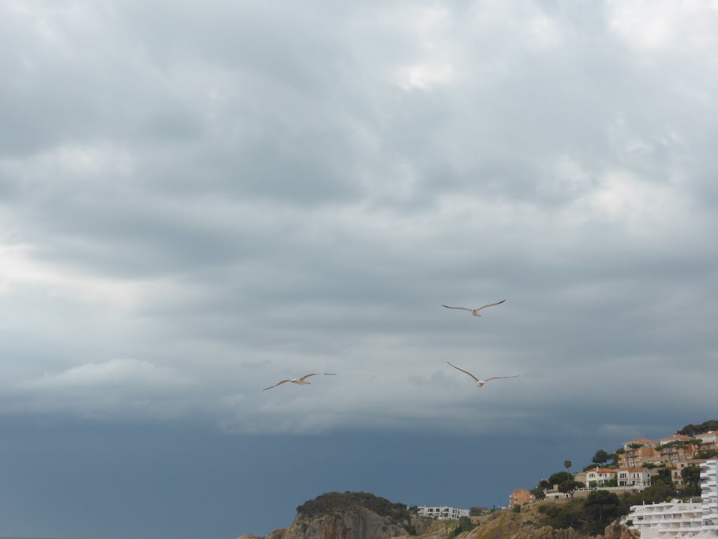 Sant Feliu de Guíxols, Province of Girona, Spain by Alain Meier