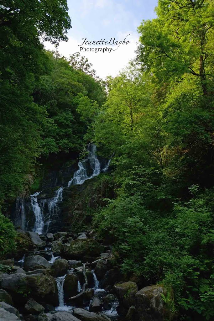 Rossnahowgarry, Co. Kerry, Ireland by Jeanette Baybo