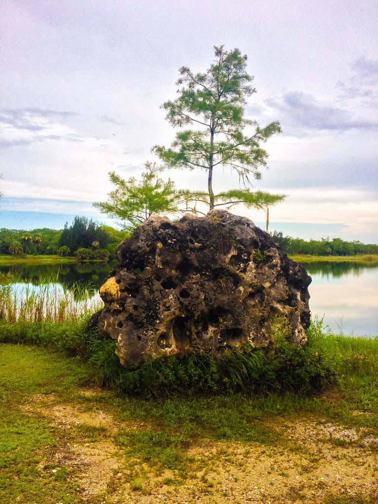 Fakahatchee Strand State Park by Ryan Boetsma