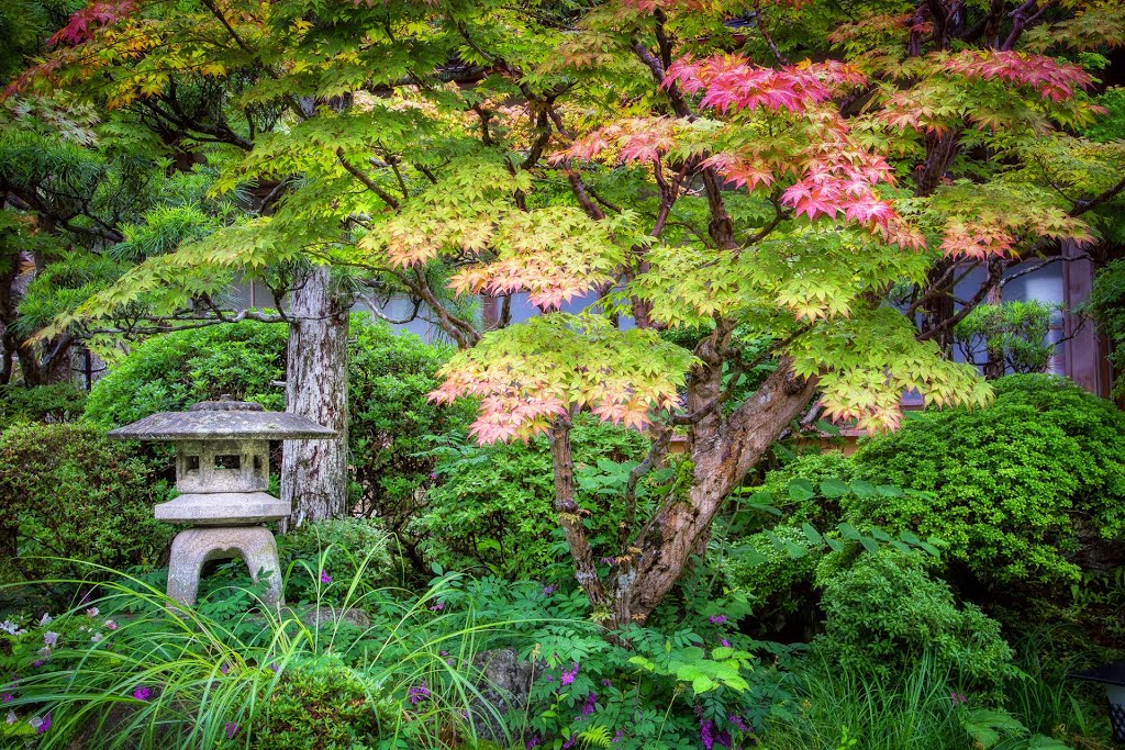 A Japanese garden found in Koyasan, Japan. #japan   #koyasan   #japanesegardens by Rob Brown (Brownie)