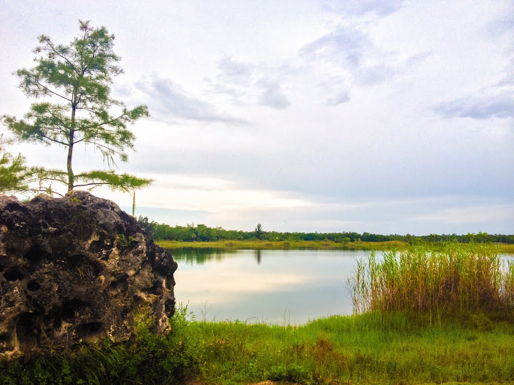 Fakahatchee Strand State Park by Ryan Boetsma