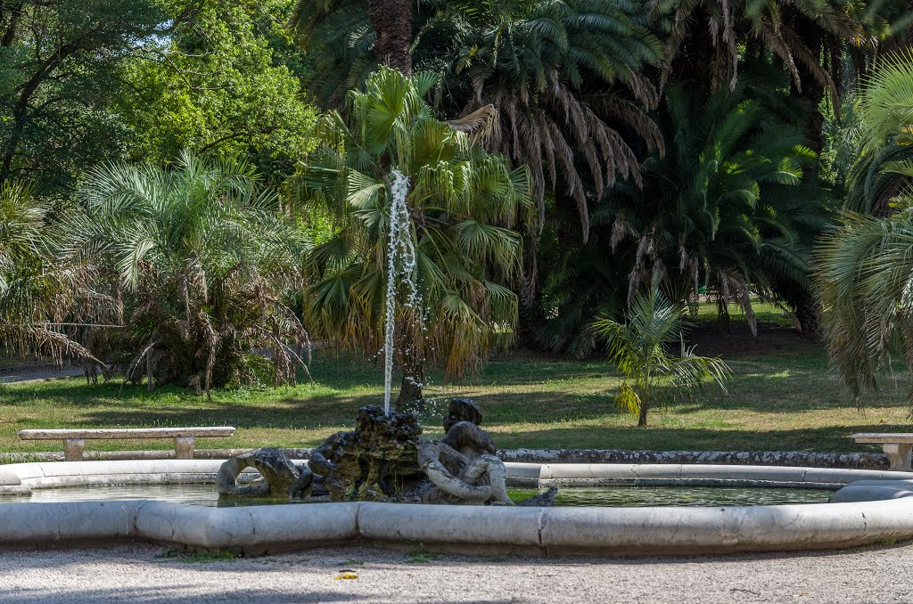 Orto botanico - fontana dei tritoni by Arnold Lengauer