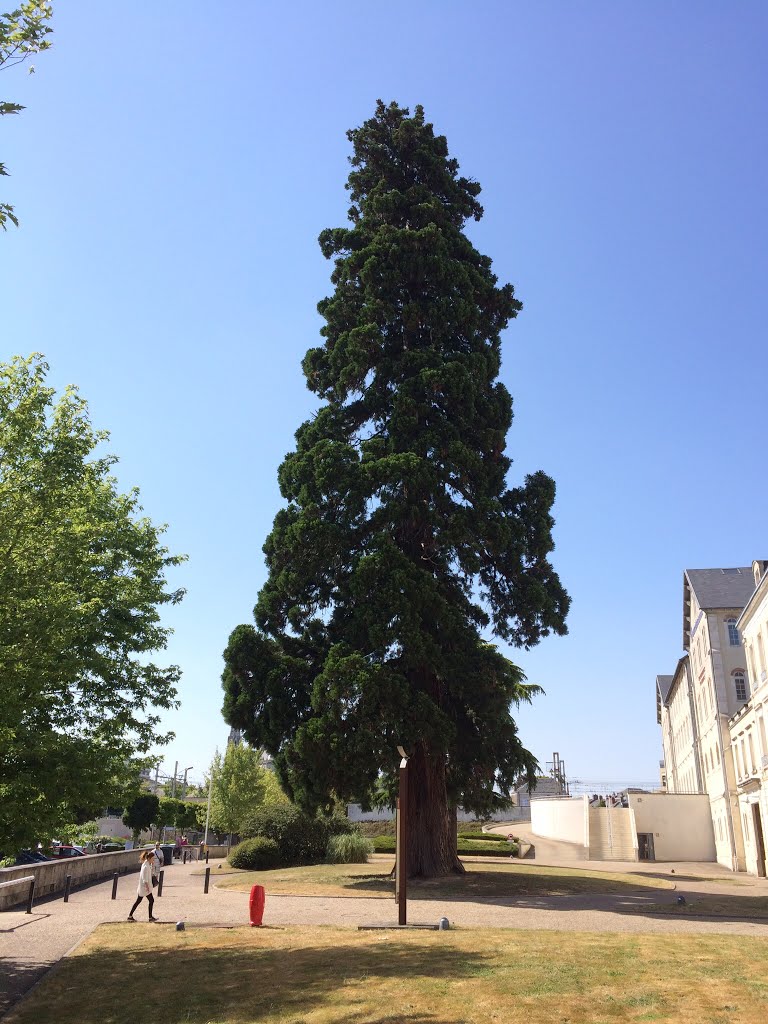 36000 Châteauroux, France by Саня МіТ