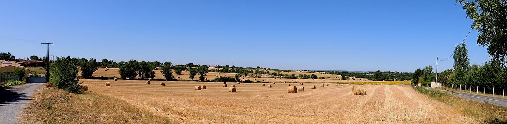 Castelnau de Lévis - Après la moisson. by Jean THIERS