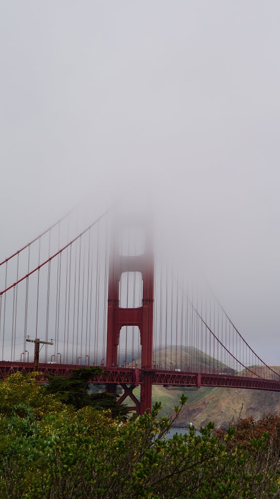 Presidio, San Francisco, CA, USA by Miguel Discart