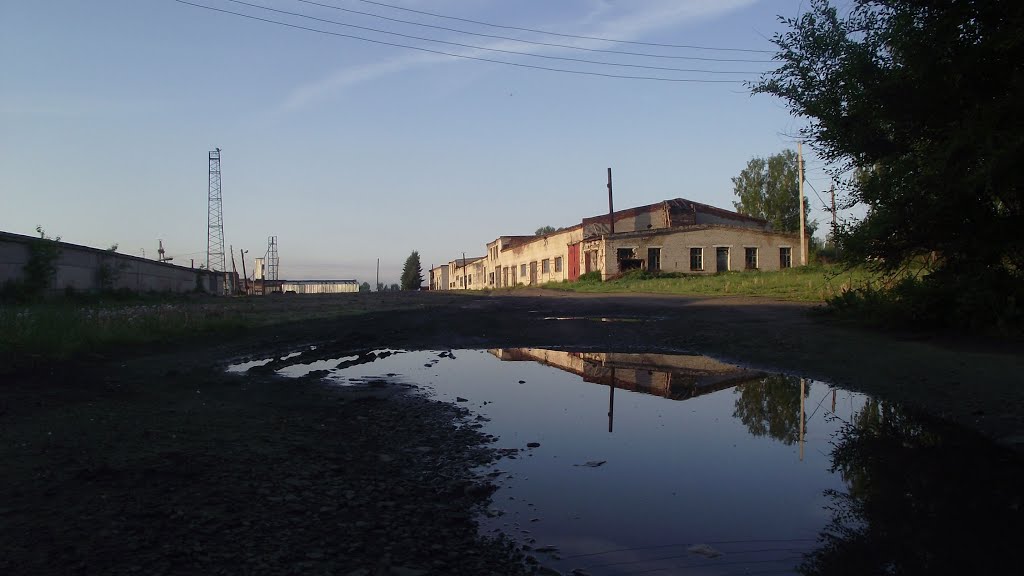 Zalesovsky District, Altai Krai, Russia by Andy Psyandr