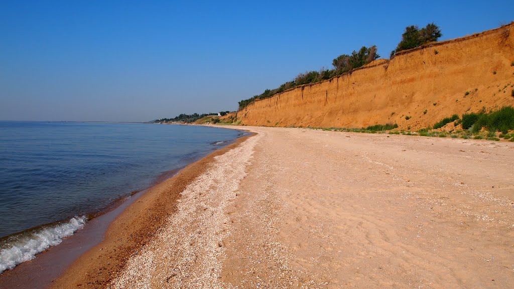 Wild beach by Alexander Voytov