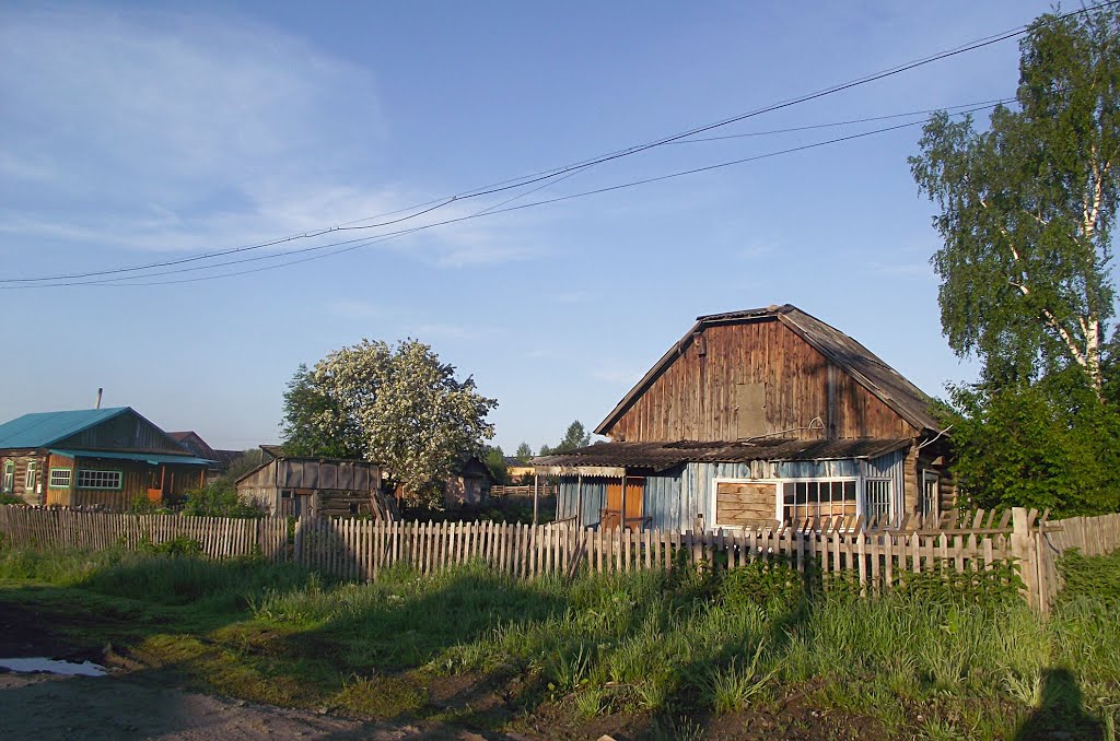 Zalesovsky District, Altai Krai, Russia by Andy Psyandr