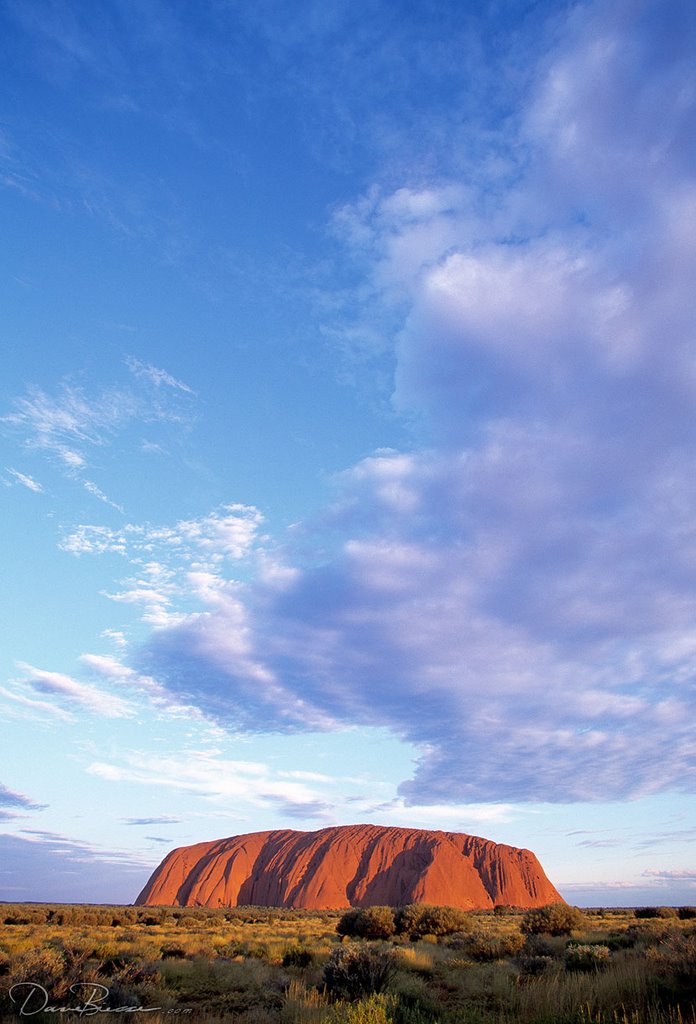 Stunning view of Uluru as sunset approaches by DaveBiesse.com