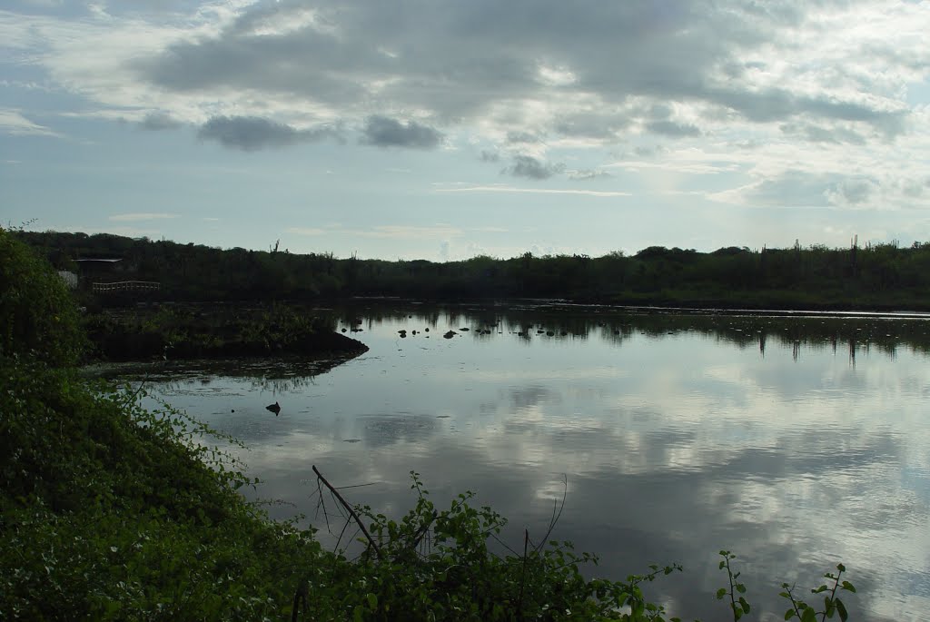 Cienaga via a Las Grietas, Galoapagos, Ecuador by Alvaro Espinel