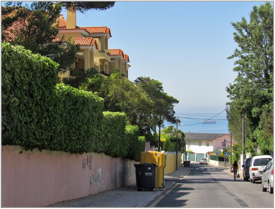 Rua do Monte Leite by André Barragon