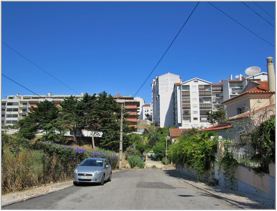 Rua Cova da Castelhana e Outeiro dos Cucos by André Barragon