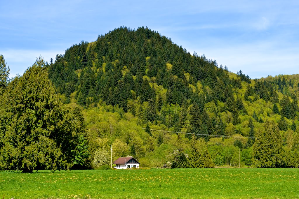 Agassiz Hill by Jack Borno