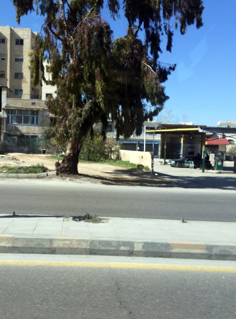 Madinat Al Hussein, Amman, Jordan by Hadi Kazu