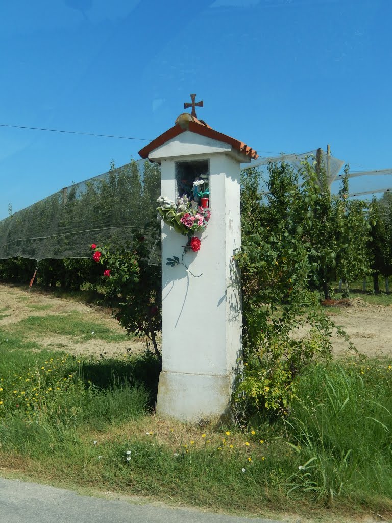 Faenza - Via Argine Montone - Pilastrino/ Religious niche (10/07/2015) by esse est reminisci (…