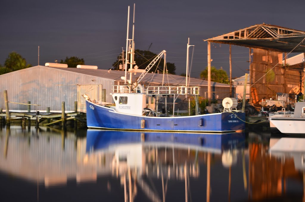 Tarpon Springs, Florida by Cyrus Harn